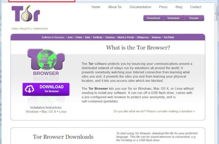 Tor 12.5 for windows instal free